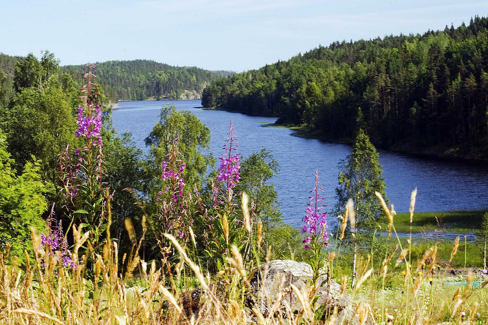 Maryalakhti